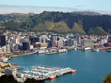 Wellingtonský přístav