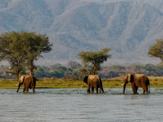 Národní park Mana Pools
