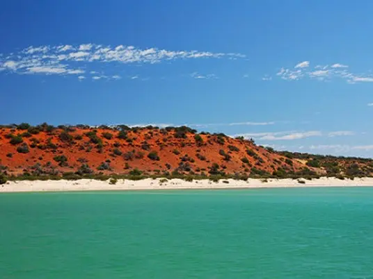 Za žraloky do Shark Bay